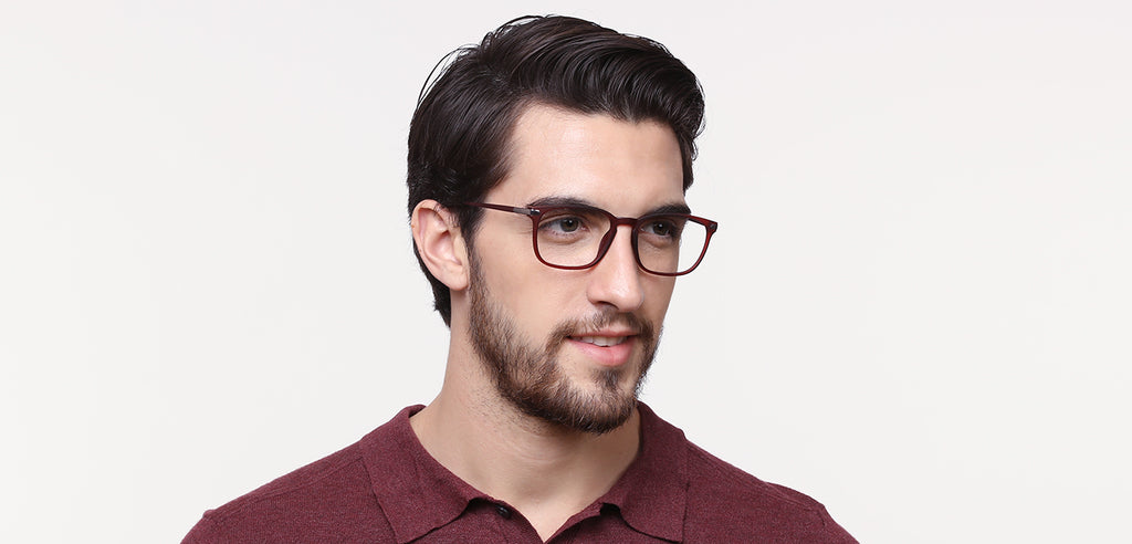 Dual Tone-Frame Wayfarer--EG