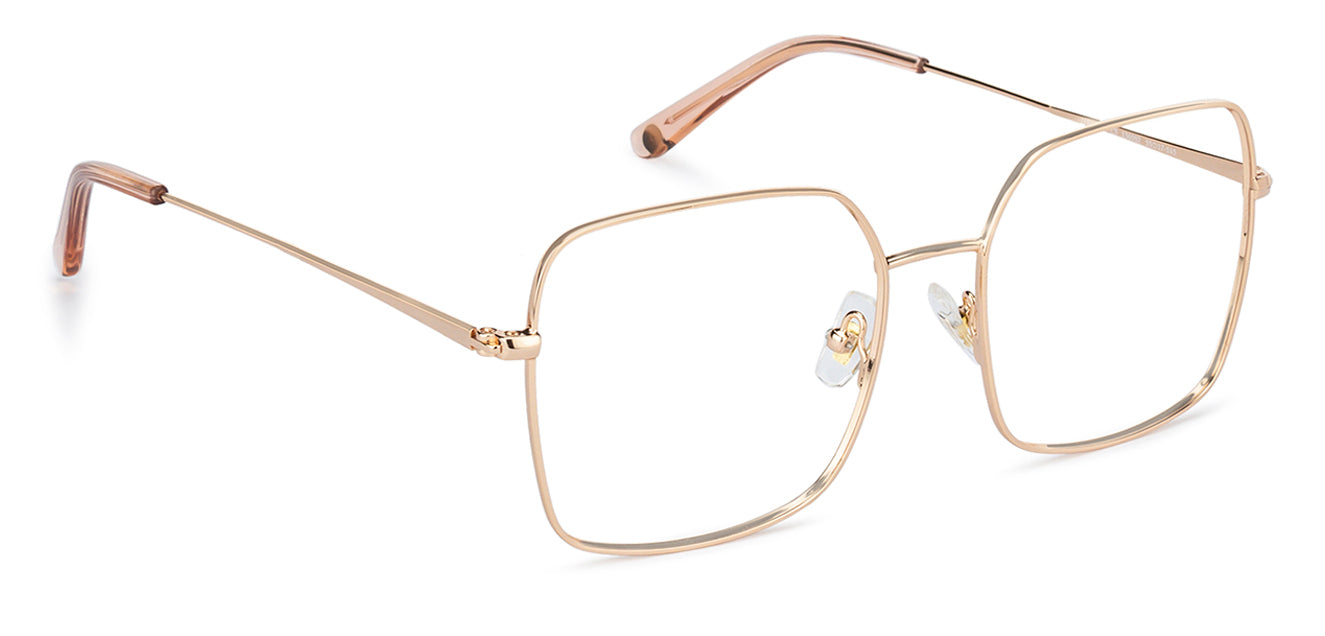 Eyeglasses Image