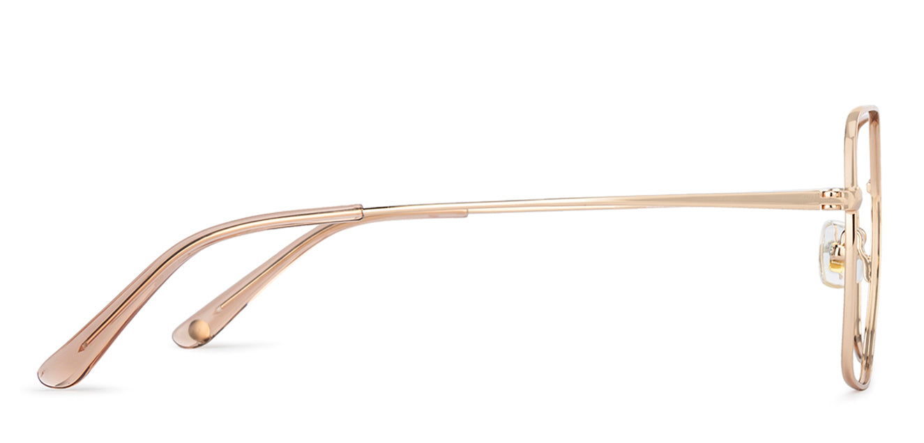 Eyeglasses Image