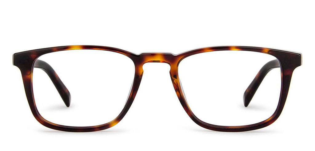 Dual Tone-Frame Wayfarer--EG