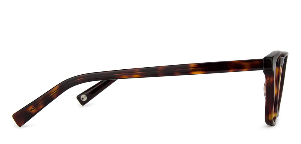 Dual Tone-Frame Wayfarer--EG