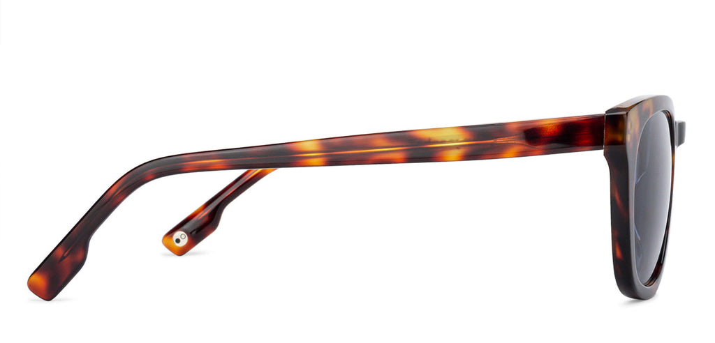 Sunglasses For Men-Frame Wayfarer--SG