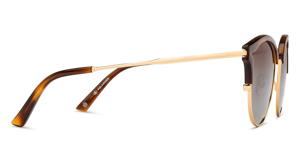 John Jacobs Sunglasses-Frame Clubmaster--SG
