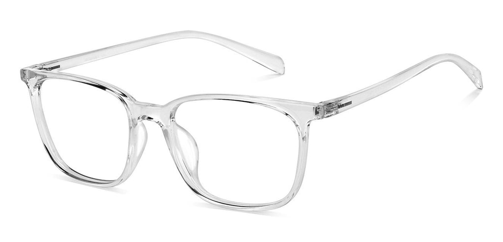 -Frame Wayfarer--EG