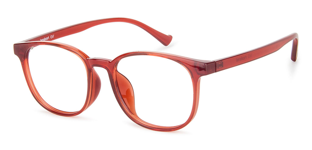 Dual Tone-Frame Wayfarer--EG