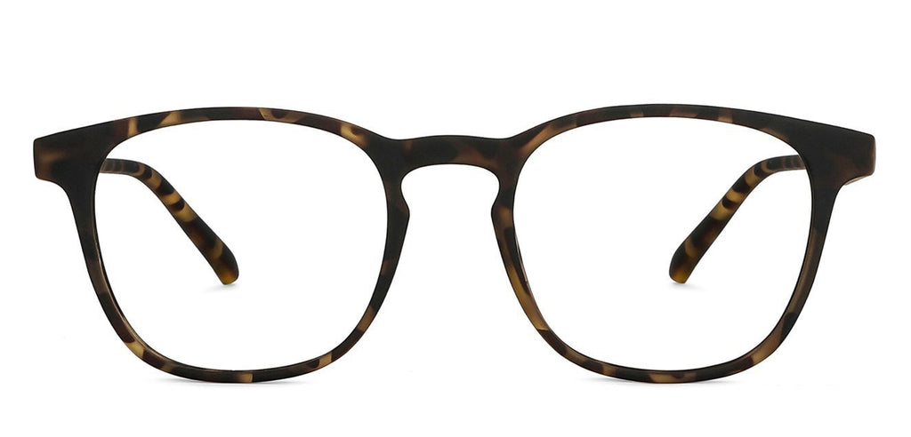 Dual Tone-Frame Wayfarer--EG