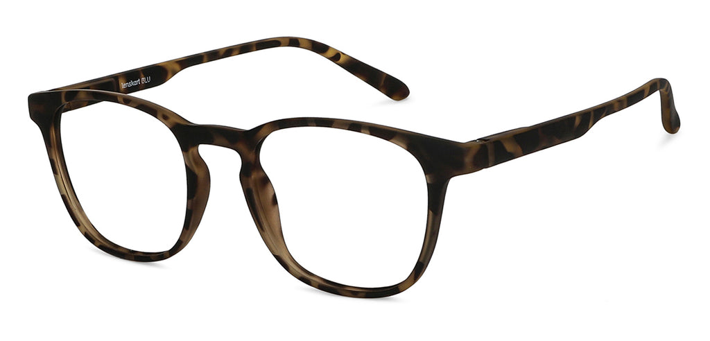 Dual Tone-Frame Wayfarer--EG