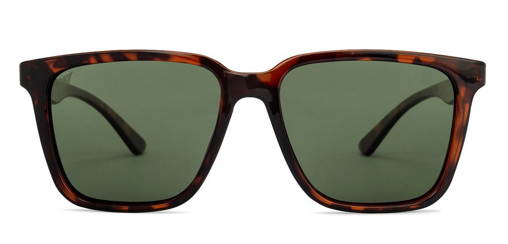 Sunglasses For Women-Frame Wayfarer--SG