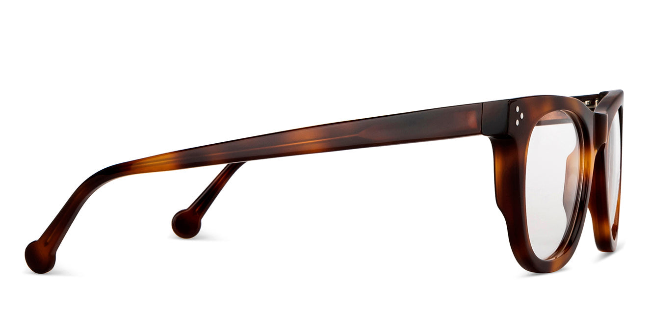 Best-Intentions Capricorn