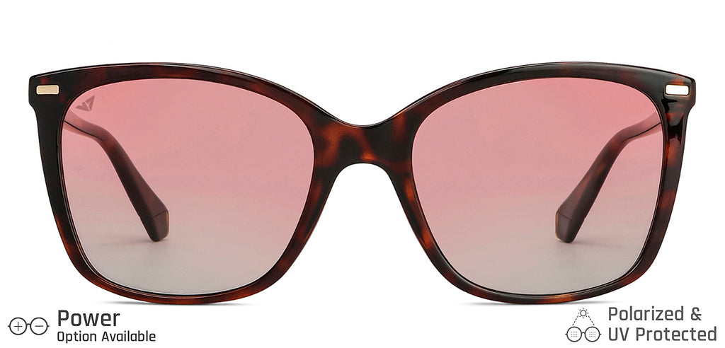 -Frame Wayfarer--SG