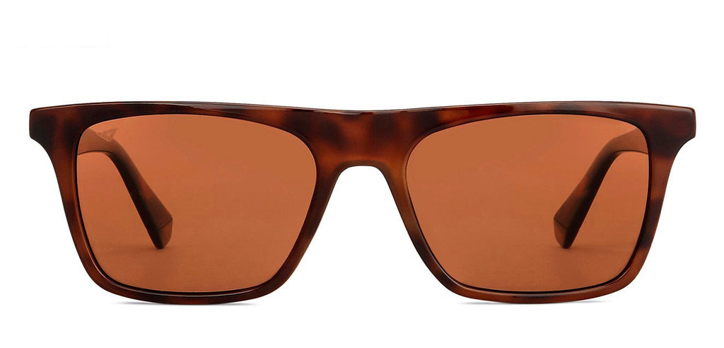 -Frame Wayfarer--SG